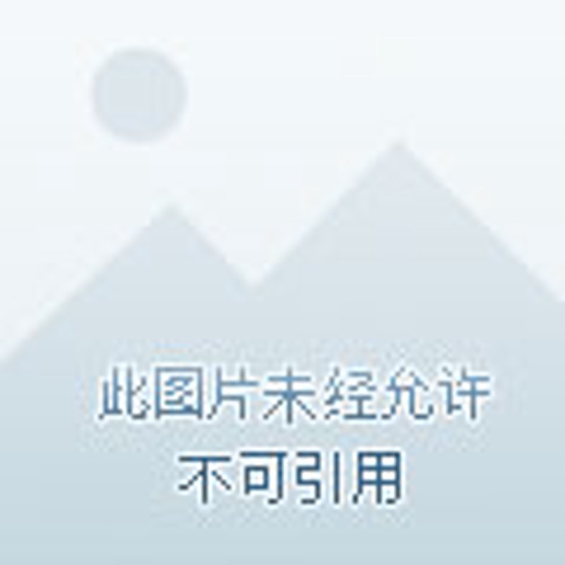 宗亲文化研究会发言稿:数据背后的血缘力量