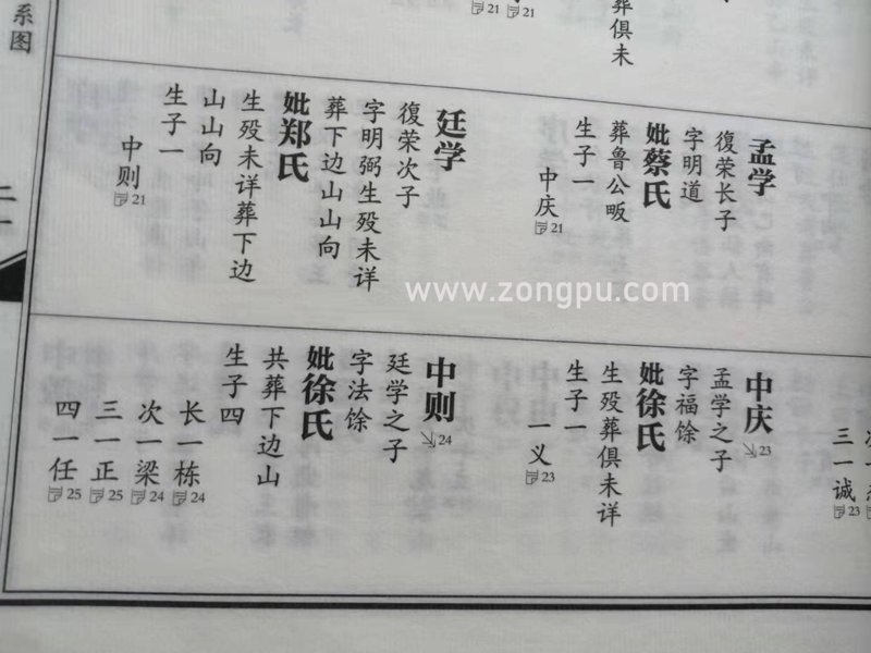 族谱制作用什么软件？专业编修的五步选型指南